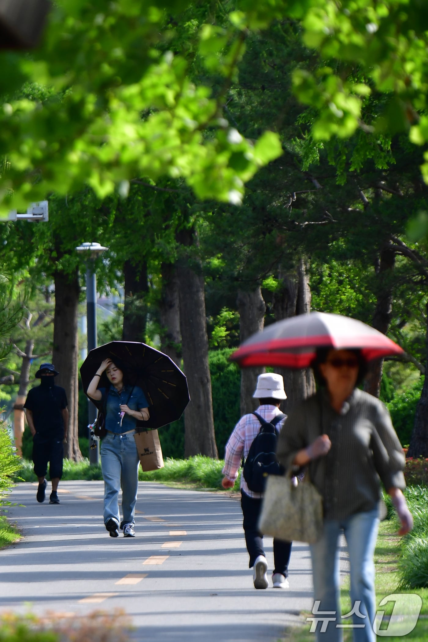 21일 경북 포항시 남구 대잠동 철길 숲에서 양산을 쓴 시민들이 걸어가고 있다. 2025.5.21/뉴스1 ⓒ News1 최창호 기자