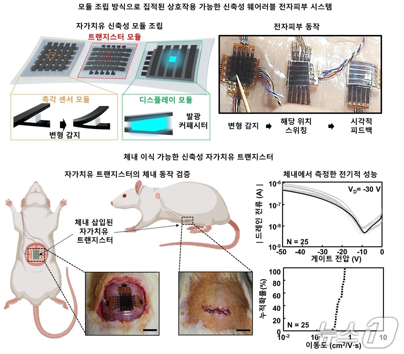 신축성 자가치유 전자회로의 웨어러블 및 임플랜터블 시스템(한국연구재단 제공) /뉴스1