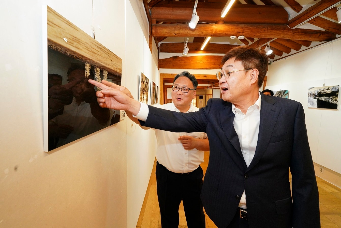 흰개미 피해 사진전(종로구 제공)