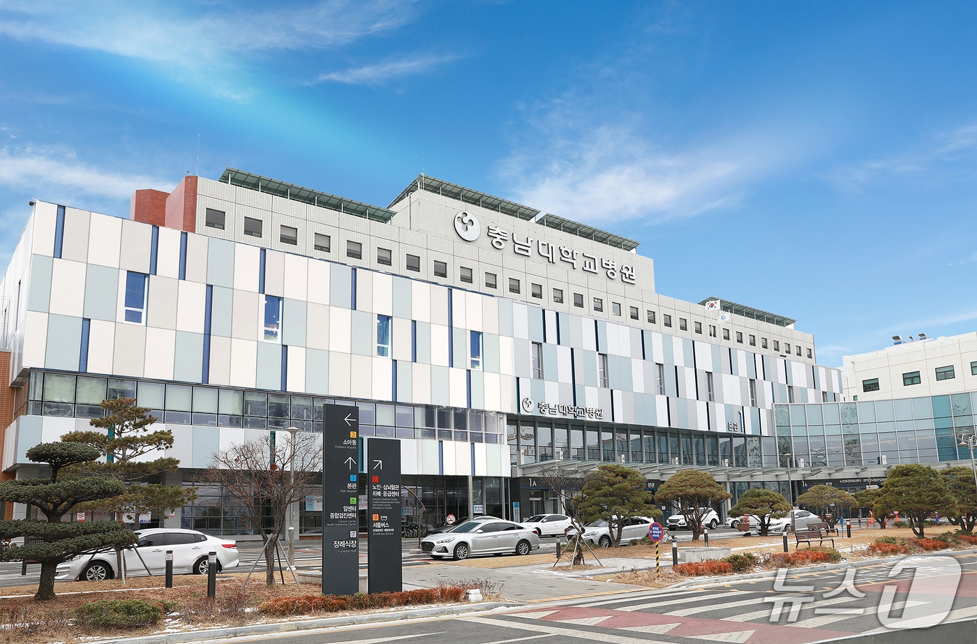 충남대학교병원 전경 /뉴스1