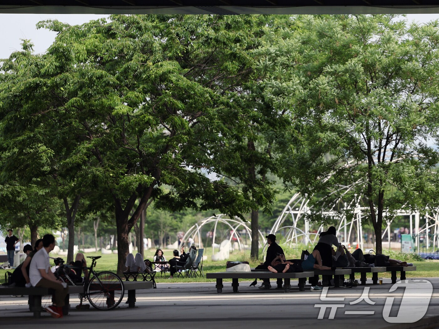 자료사진/뉴스1