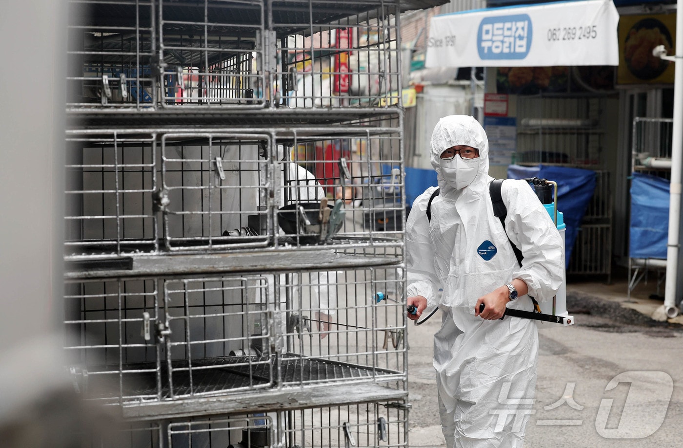 21일 광주 북구청 시장산업과 동물정책팀 직원들이 관내 한 재래시장 닭오리 판매업소에서 조류인플루엔자 예방을 위해 긴급 방역을 실시하고 있다.(광주 북구 제공. 재판매 및 DB 금지) 2025.5.21/뉴스1 ⓒ News1 박지현 기자
