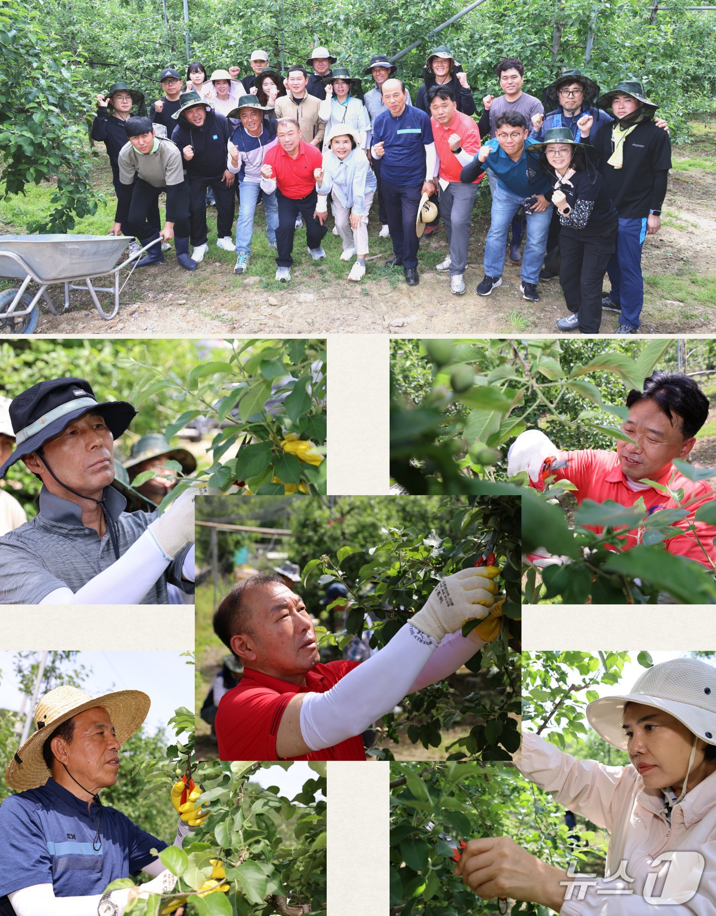 금산군의회가 21일 군북면 사과농가를 찾아 ‘봄철 농촌 일손 돕기’ 봉사활동을 했다. (금산군의회 제공.재판매 및 DB금지)/뉴스1
