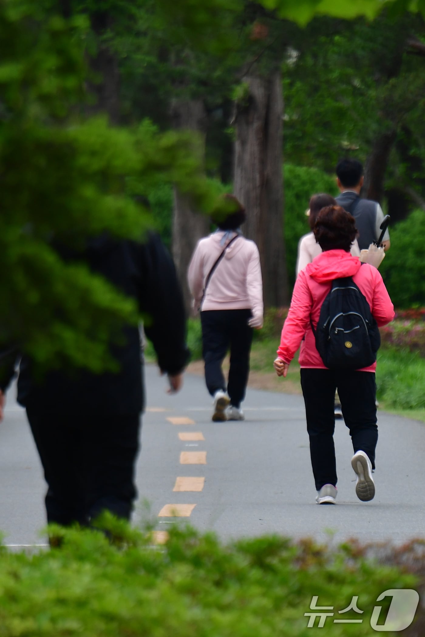 22일 오전 경북 포항시 남구 대잠동 철길숲에서 시민들이 긴팔 차림으로 산책하고 있다.2025.5.22/뉴스1 ⓒ News1 최창호 기자