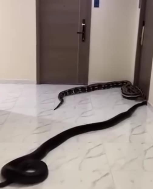 (유튜브 갈무리) /뉴스1