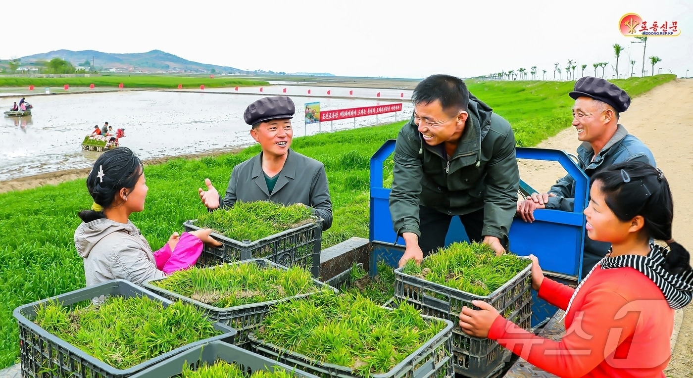 (평양 노동신문=뉴스1) = 북한 노동당 기관지 노동신문은 23일 안악군 경지농장을 조명하며 "한해 농사의 중요한 영농공정인 모내기를 힘있게 다그치고 있다＂고 보도했다. [국내에서만 사용가능. 재배포 금지. DB 금지. For Use Only in the Republic of Korea. Redistribution Prohibited] rodongphoto@news1.kr