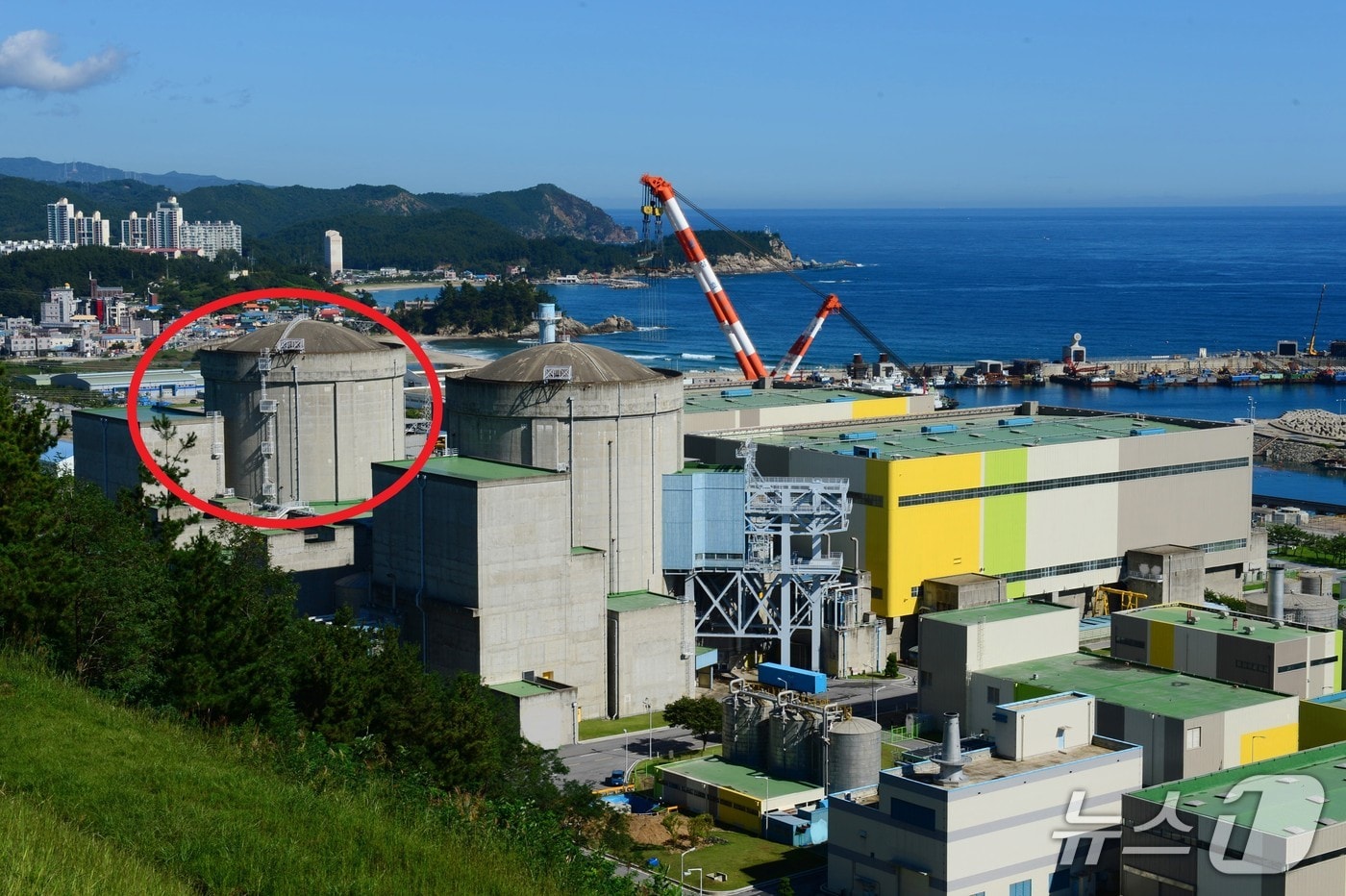 한국수력원자력(주) 한울원자력본부는 한울 1호기(가압경수로형 95만kW급)가 제26차 계획예방정비에 착수했다고 23일 밝혔다. (한울원자력본부제공, 제판매 및  DB 금지) 2025.5.23/뉴스1 