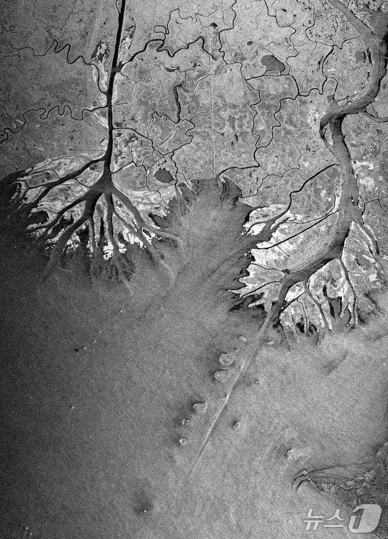 차세대소형위성2호가 촬영한 미국 루이지애나주 아차팔라야강 일대(KAIST 제공) /뉴스1