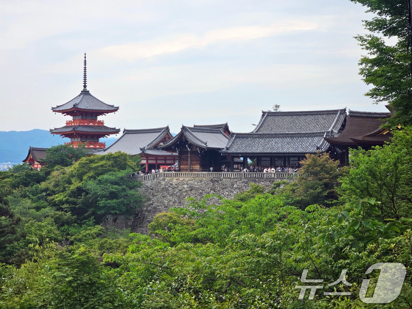 일본 교토에 있는 청수사.(경북도 제공, 재판매 및 DB 금지)2025.5.23/뉴스1