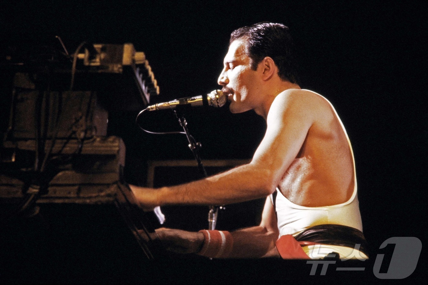 프레디 머큐리 ⓒ AFP=뉴스1