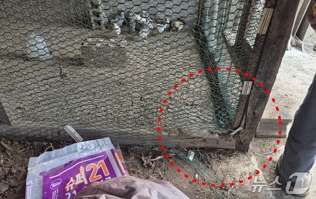 지난 14일 제주시 구좌읍 송당리에 있는 닭장이 들개에 의해 훼손된 모습.(제주도자치경찰단 제공. 재판매 및 DB 금지)