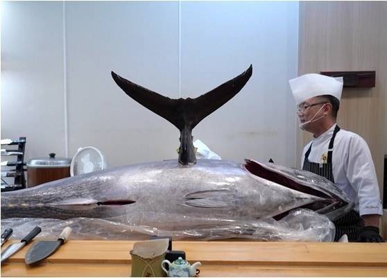 KBS 2TV '사장님 귀는 당나귀 귀'