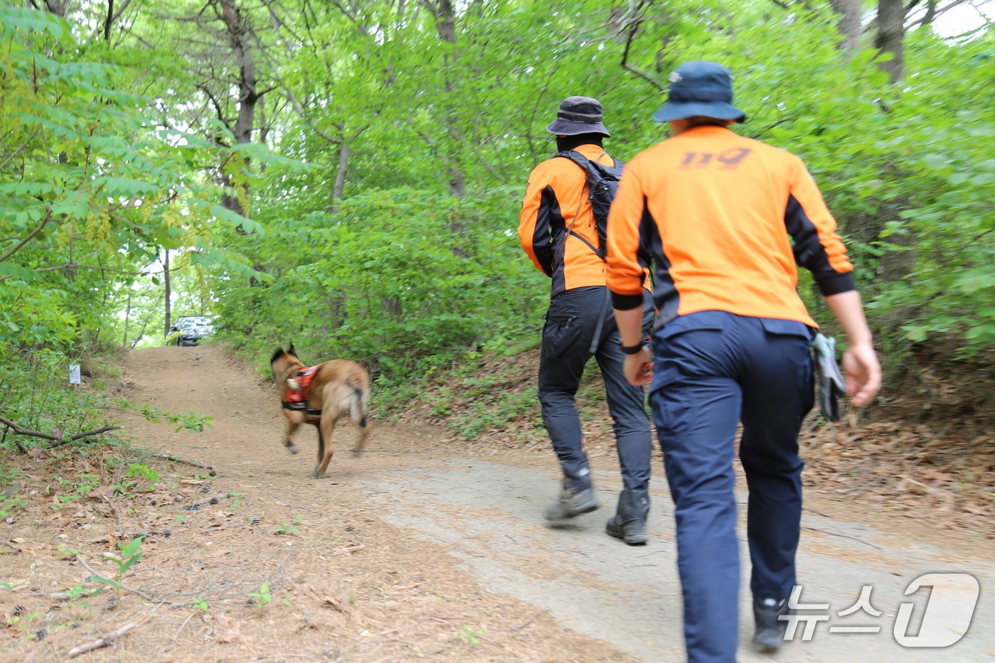 지난 22일 공주 유구읍 문금리 한 야산에서 실종된 70대 파킨슨병 환자 A 씨를 구조하기 위해 공주소방서 관계자들이 수색을 벌이고 있다. (공주소방서 제공, 재판매 및 DB금지) / 뉴스1