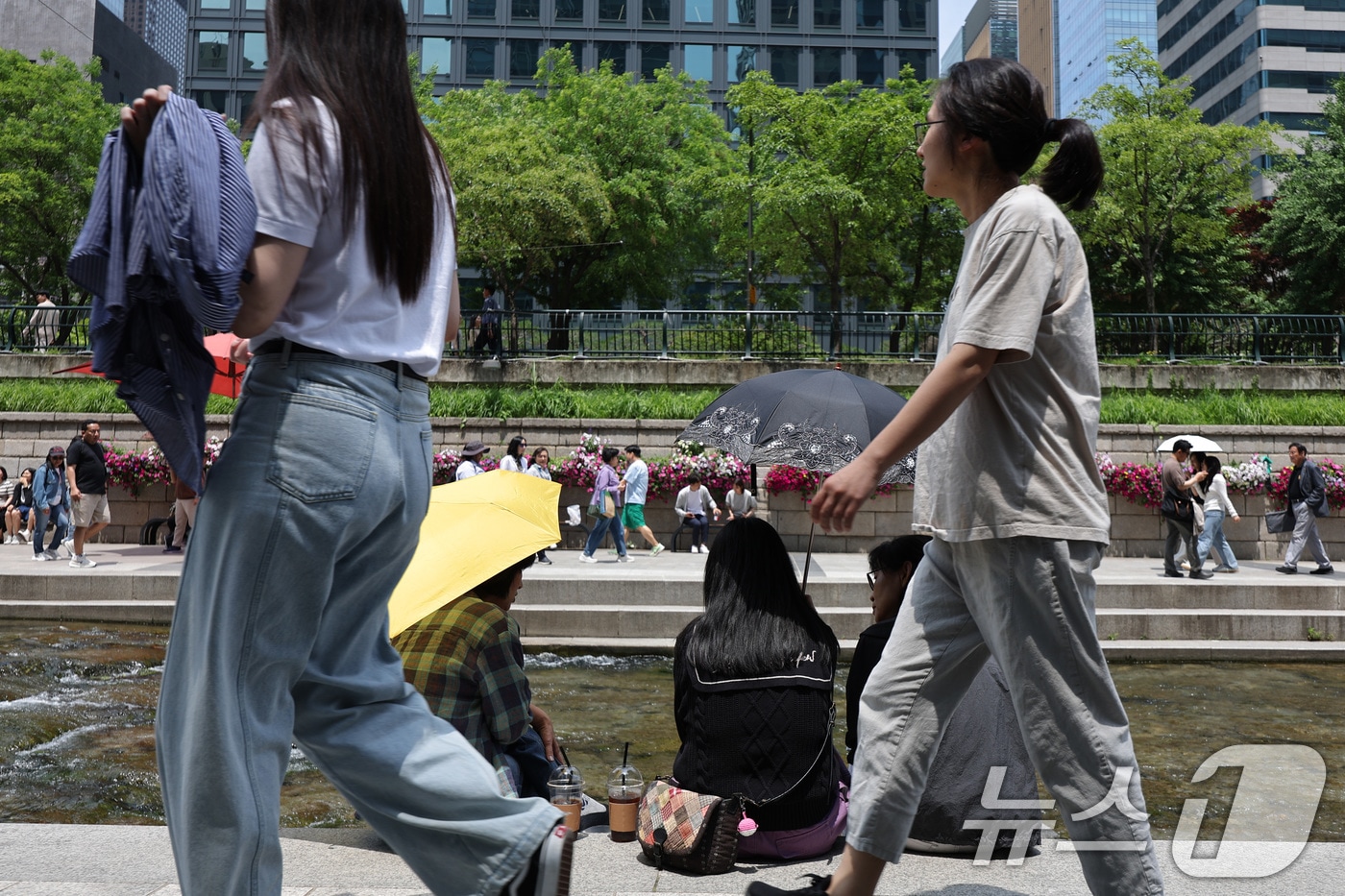 반팔을 입고 거리를 걷는 시민들(사진은 기사 내용과 무관함) / 뉴스1 ⓒ News1