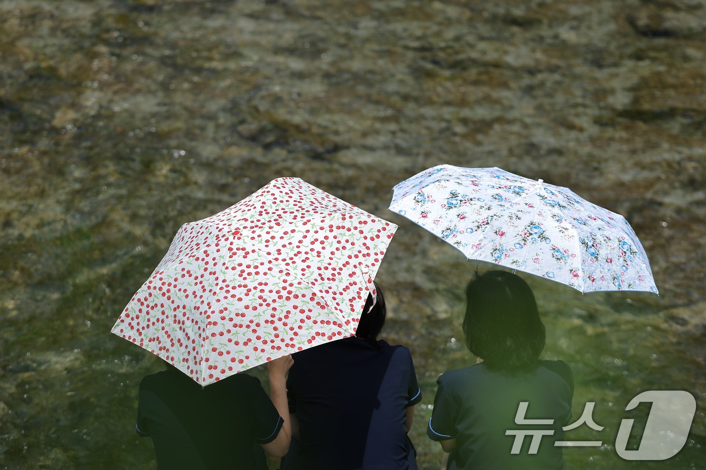 자료사진 /뉴스1 ⓒ News1