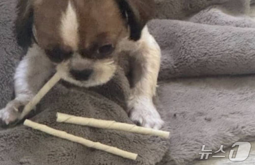 (온라인 커뮤니티 갈무리) /뉴스1