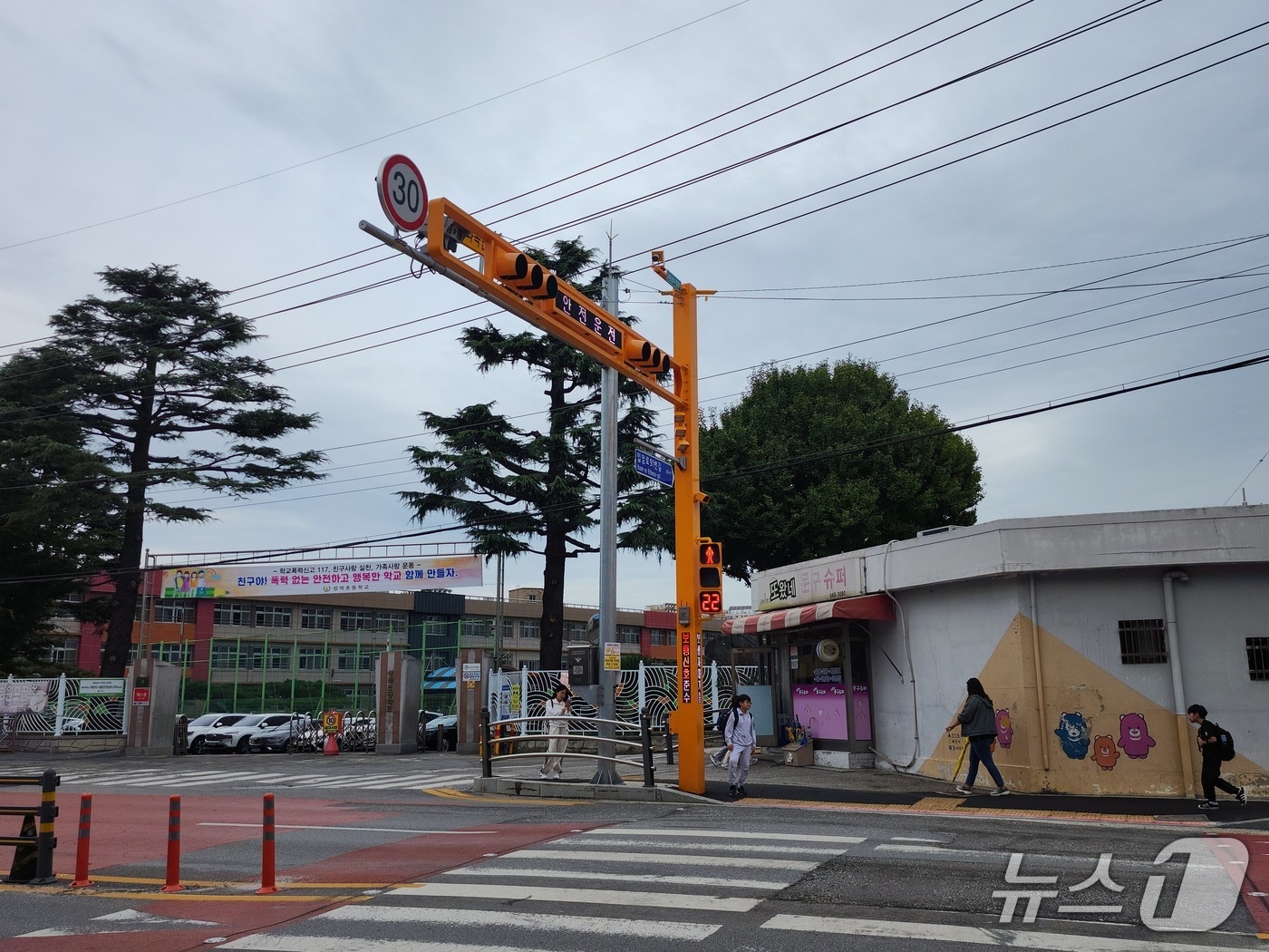 강릉시 '보행신호 적색 잔여시간 표시기' 166개 추가 설치.(강릉시 제공, 재판매및 DB 금지) 2025.5.26/뉴스1