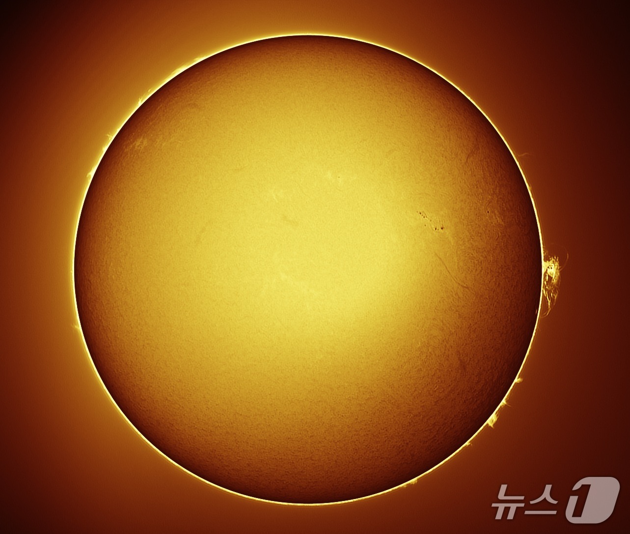 태양 흑점과 홍염(인천 강화군 제공.재판매 및 DB금지)