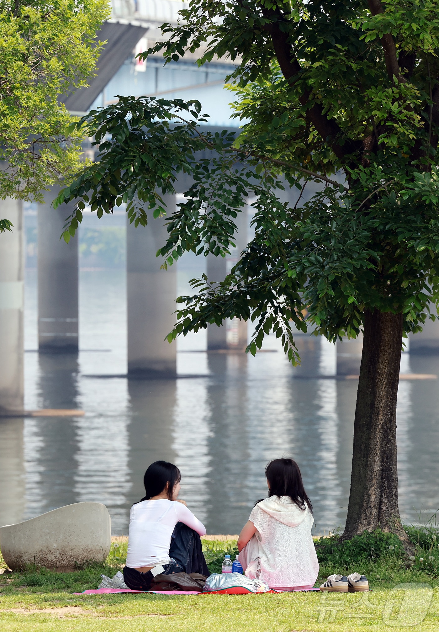 27일 서울 영등포구 여의도 한강공원을 찾은 시민들이 더위를 식히고 있다. 2025.5.27/뉴스1 ⓒ News1 김진환 기자