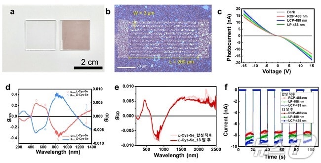 원형편광 감지가 가능한 셀레늄 나노필름(KAIST 제공) /뉴스1