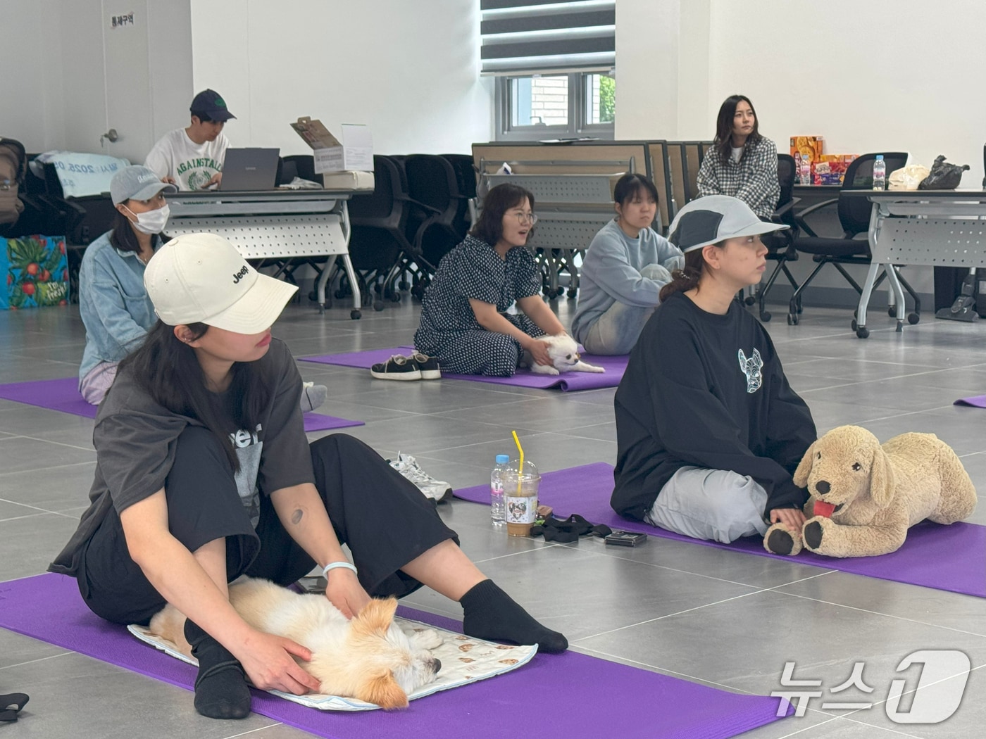 전북 임실군이 오수반려누리에서 반려견과 보호자가 함께 참여하는‘쓰담 힐링 클래스’를 운영하고 있다.(임실군제공. 재판매 및 DB금지)2025.5.28/뉴스1
