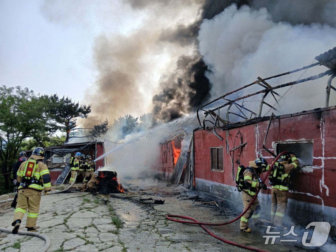 28일 부산 사하구 구평동 개 사육장 추정 농장 화재 현장.(부산소방재난본부 제공. 재판매 및 DB 금지)