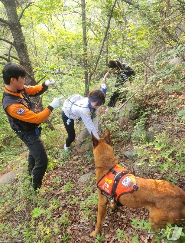 27일 부산 119 구조견 충성이와 소방대원이 하산 중 조난당한 20대 여성을 발견하고 구조하고 있다.(부산소방재난본부 제공. 재판매 및 DB 금지)