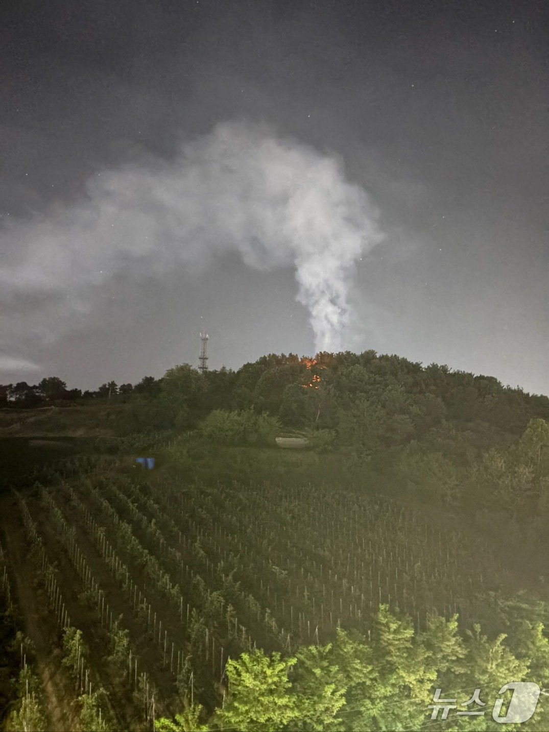  예산군 예산읍 주교리 산불 현장. (산림청 제공, 재판매 및 DB금지) / 뉴스1