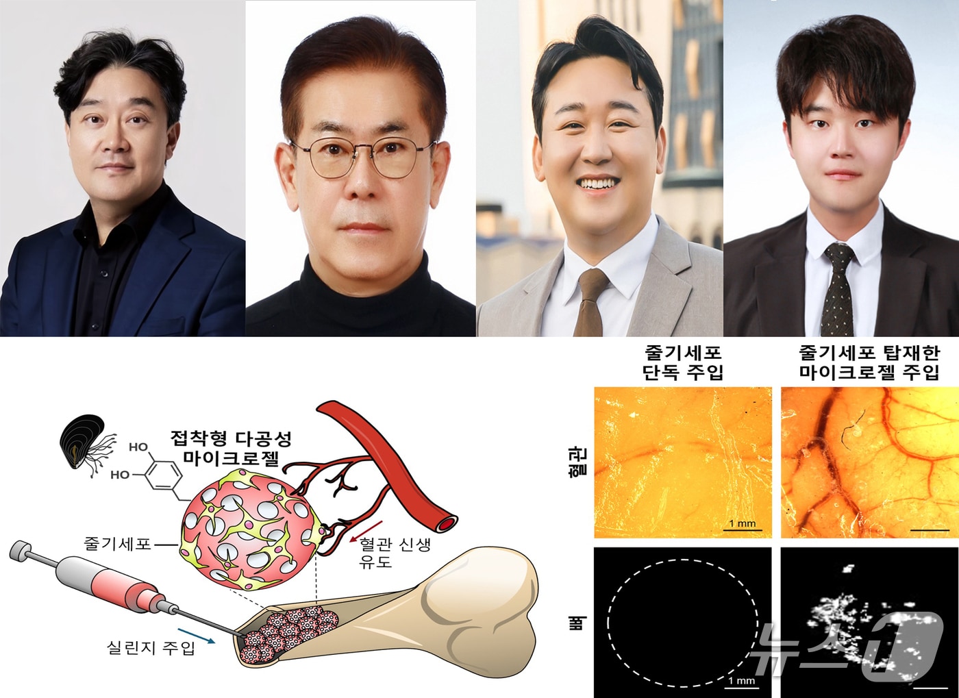 포스텍과 경북대 연구팀이 손상된 뼈를 되살릴 수 있는 주사형 줄기세포 치료제 개발에 성공했다. 왼쪽부터 포스텍 차형준.김동표 교수, 경북대 민경익.조윤기 교수.