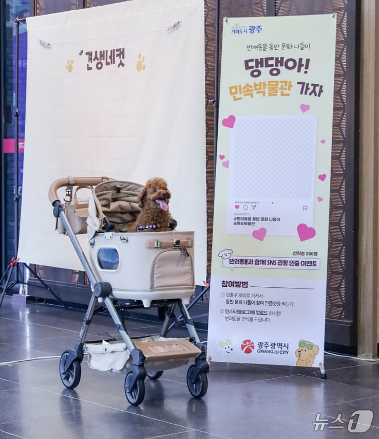 광주시 반려동물 동반 문화나들이.(광주시 제공. 재판매 및 DB 금지) 