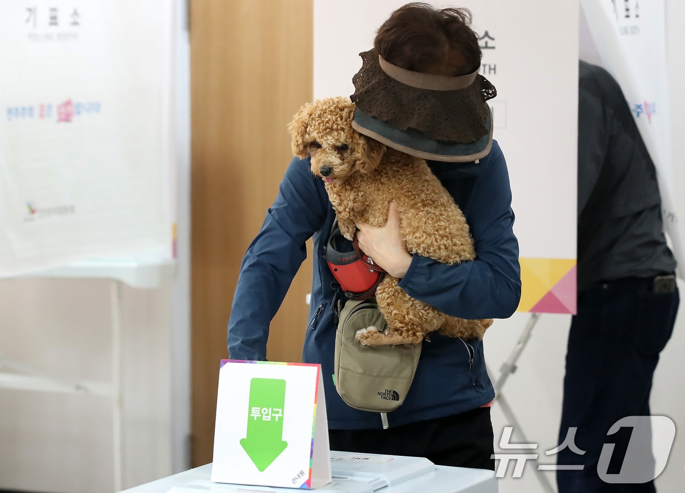 제21대 대통령선거 사전투표 첫날인 29일 오후 대구 북구 관음동 어울아트센터에 마련된 사전투표소에서 한 유권자가 반려견과 함께 투표하고 있다. 2025.5.29/뉴스1 ⓒ News1 공정식 기자