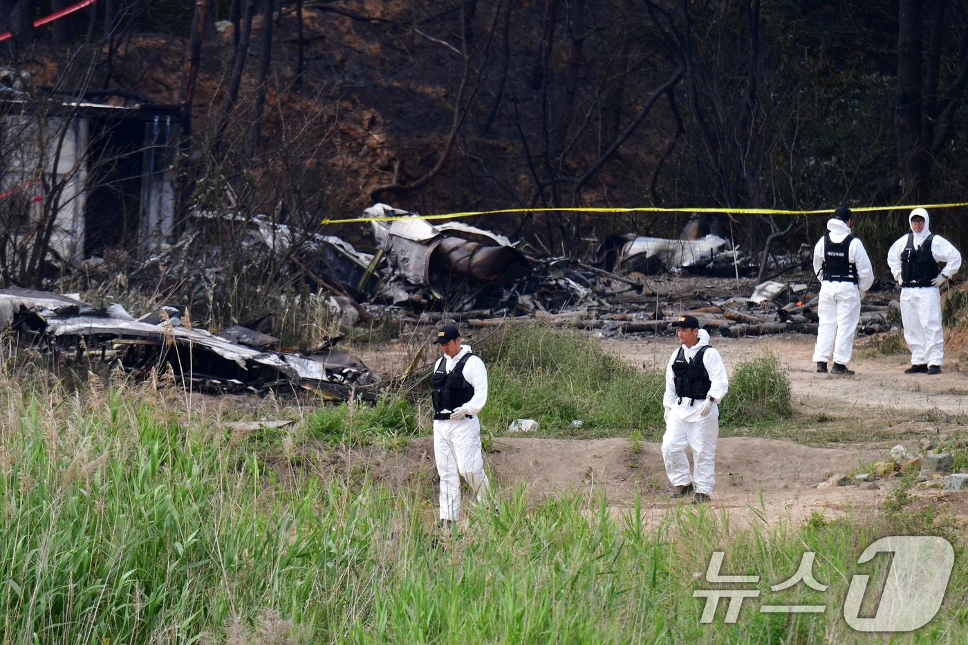 군 항공사고 조사관들이 30일 오전 경북 포항시 남구 동해면 야산에 추락한 해군 대잠 해상초계기 사고 현장 조사를 진행하고 있다. 2025.5.30/뉴스1 ⓒ News1 최창호 기자