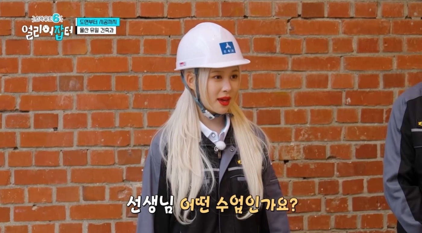 KBS 1TV '스카우트6 얼리어잡터' 방송 화면 캡처