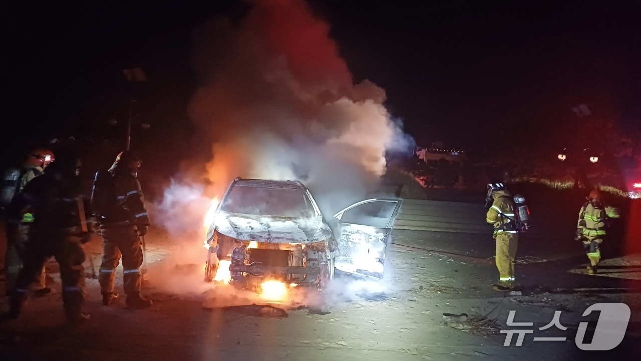 태안 청포대해수욕장 차량 화재 현장. (태안소방서 제공, 재판매 및 DB 금지)/뉴스1