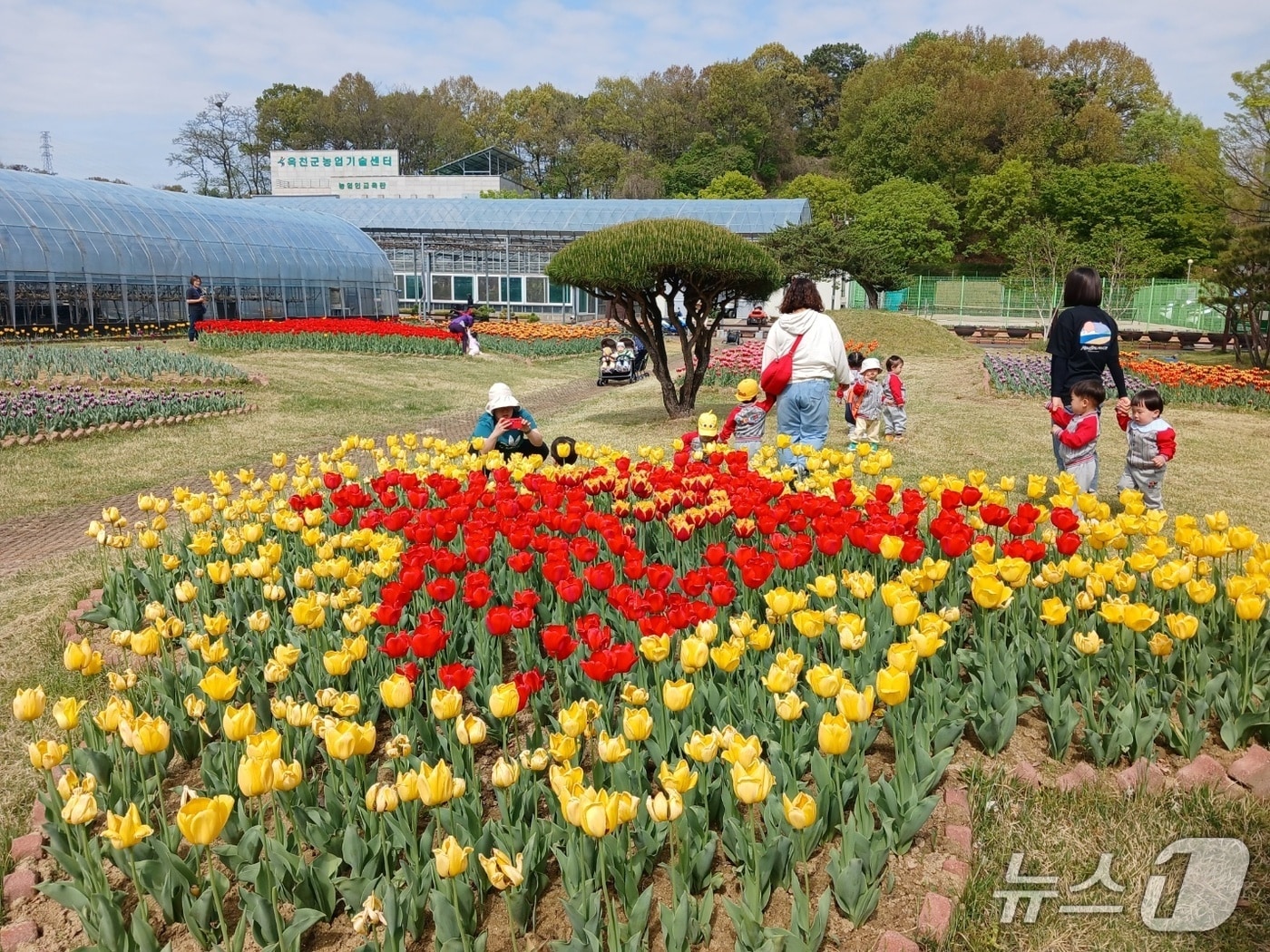 옥천군 농심테마공원 안에 봄꽃이 활짝 펴 시민들이 발길이 이어지고 있다. (옥천군 제공. 재판매 및 DB금지) /뉴스1