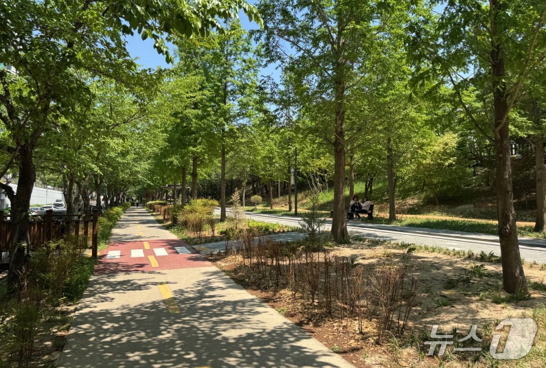7일 경북 포항시가 포항철길숲 우현지구에 '우현 무장애 도시숲' 구간을 조성했다.(포항시 제공. 제판매 및 DB 금지) 2025.5.7/뉴스1
