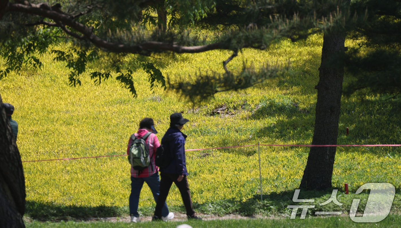 골프장 산책하는 시민들.(사진은 기사 내용과 무관함) / 뉴스1 ⓒ News1
