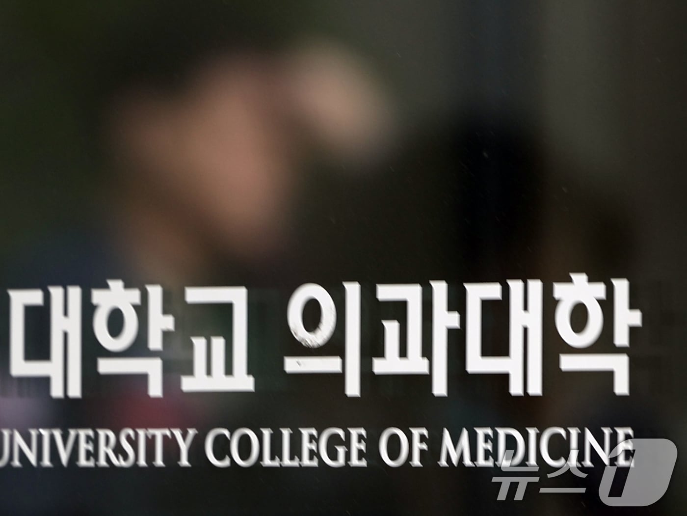 서울 시내 한 의과대학의 모습. /뉴스1 ⓒ News1 황기선 기자