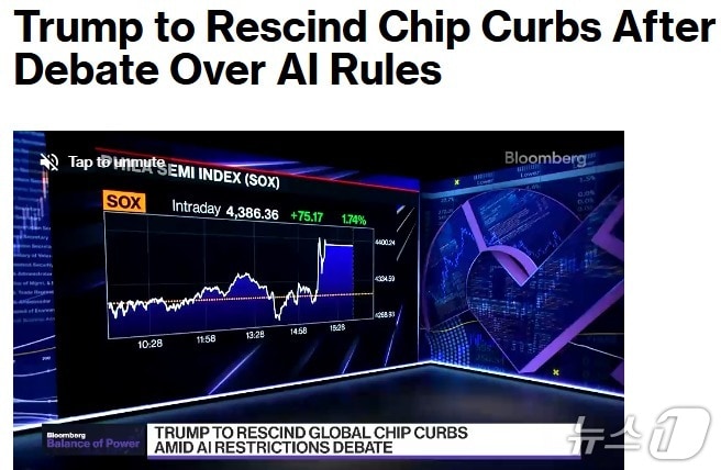 해당 기사 - 블룸버그 갈무리