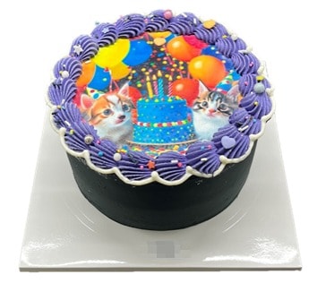 포토프린트 케이크 자료사진./사진제공=한국소비자원