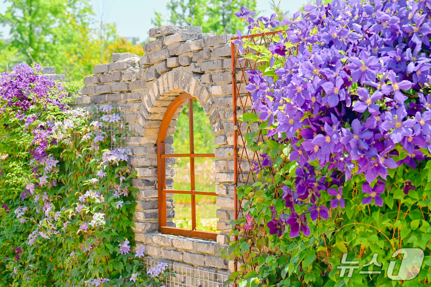 국립세종수목원 담장 정원(한국수목원정원관리원 제공.재판매 및 DB금지) /뉴스1