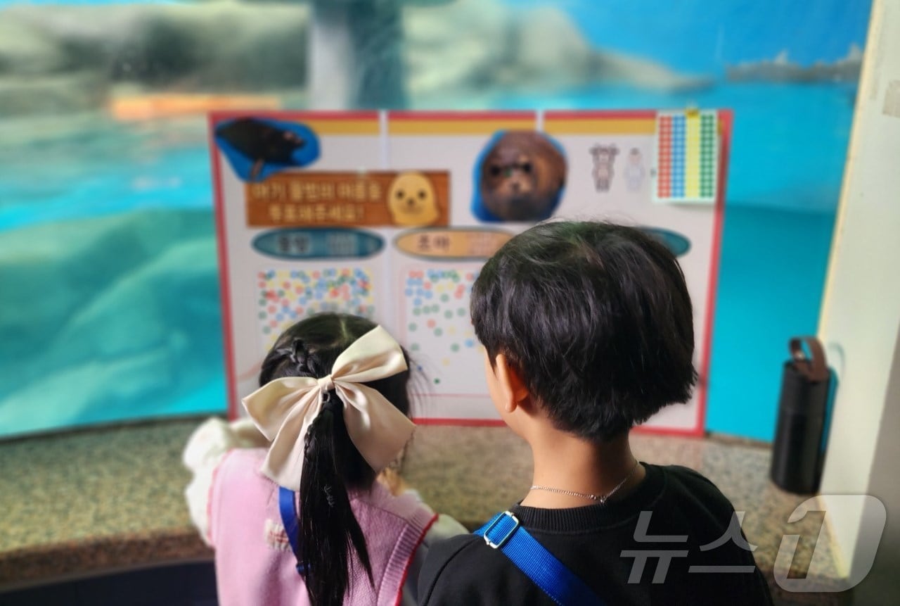 광주 우치동물원 아기 물범 이름 정하기 현장 투표.(광주시 제공. 재판매 및 DB 금지) 2025.5.9/뉴스1 