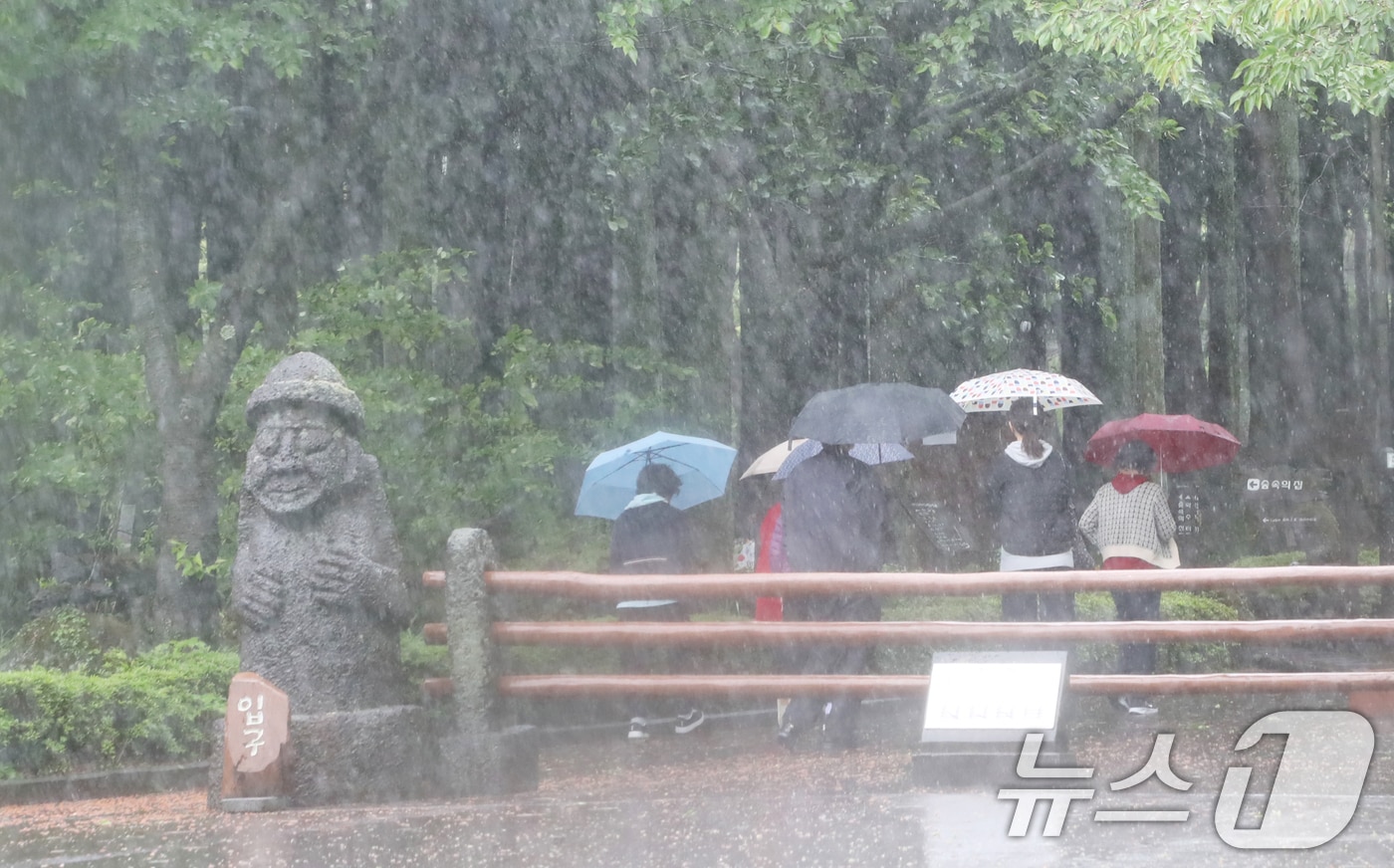 비 내리는 제주(자료사진)/뉴스1