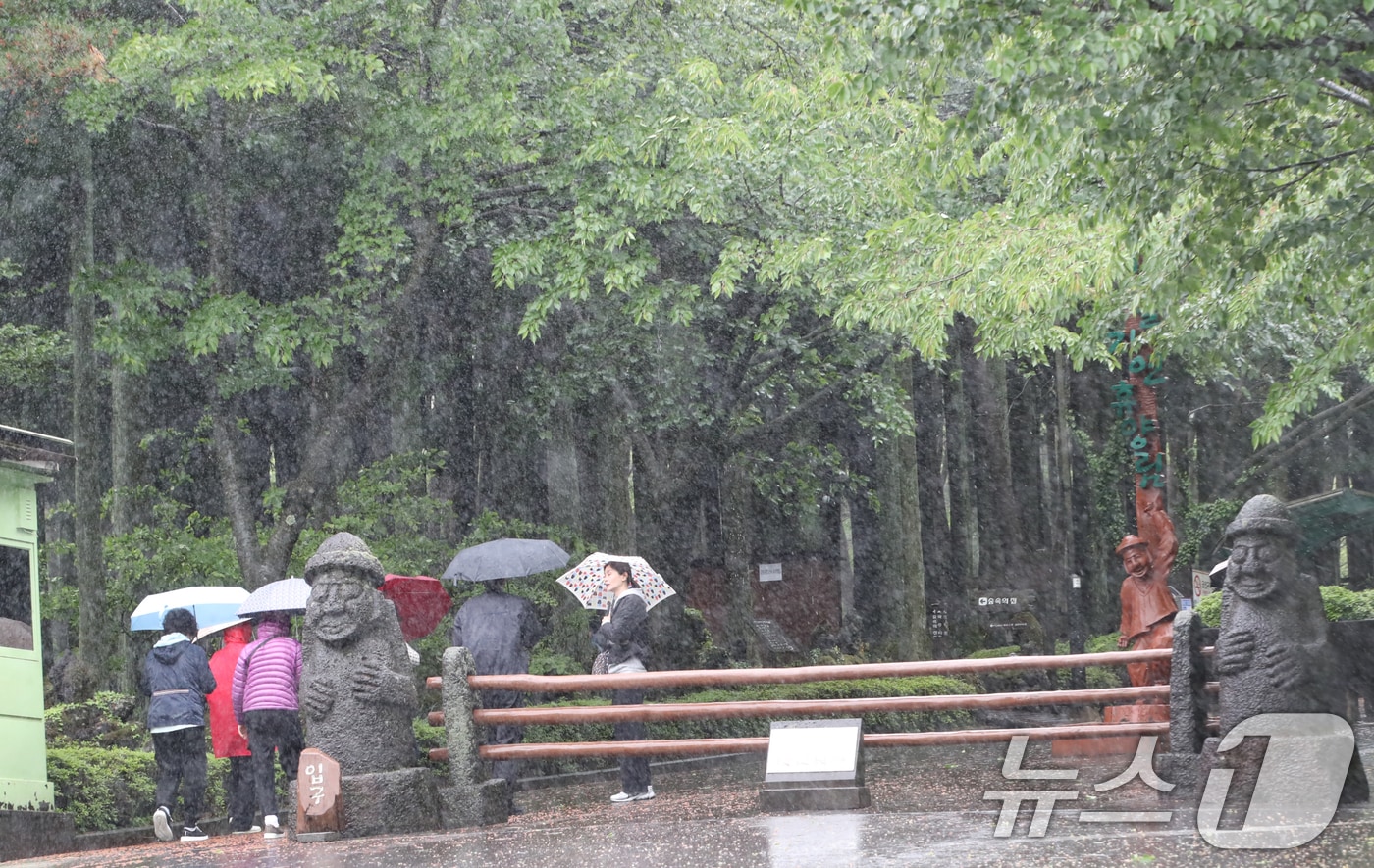 제주시 봉개동 절물자연휴양림에 많은 비가 내려 탐방객이 급히 발걸음을 옮기고 있다. 2025.5.9/뉴스1 ⓒ News1 오현지 기자