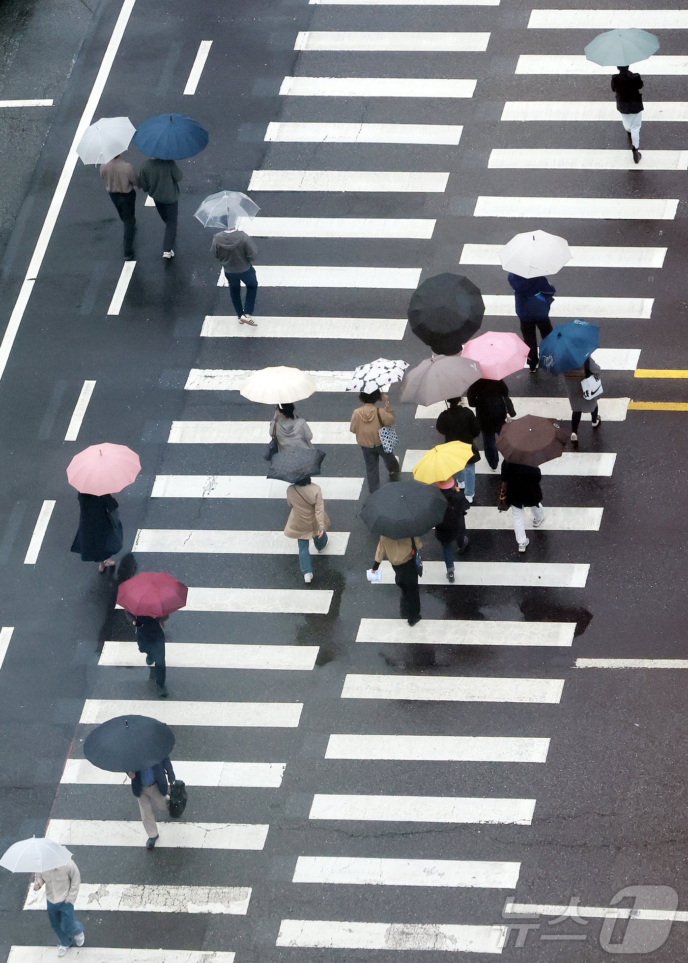  우산을 쓴 시민들이 발걸음을 옮기고 있다. /뉴스1 ⓒ News1 김진환 기자
