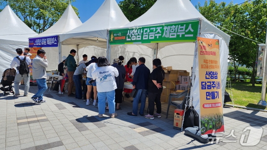 거창산양삼축제 장면(거창군 제공. 재판매 및 DB금지).