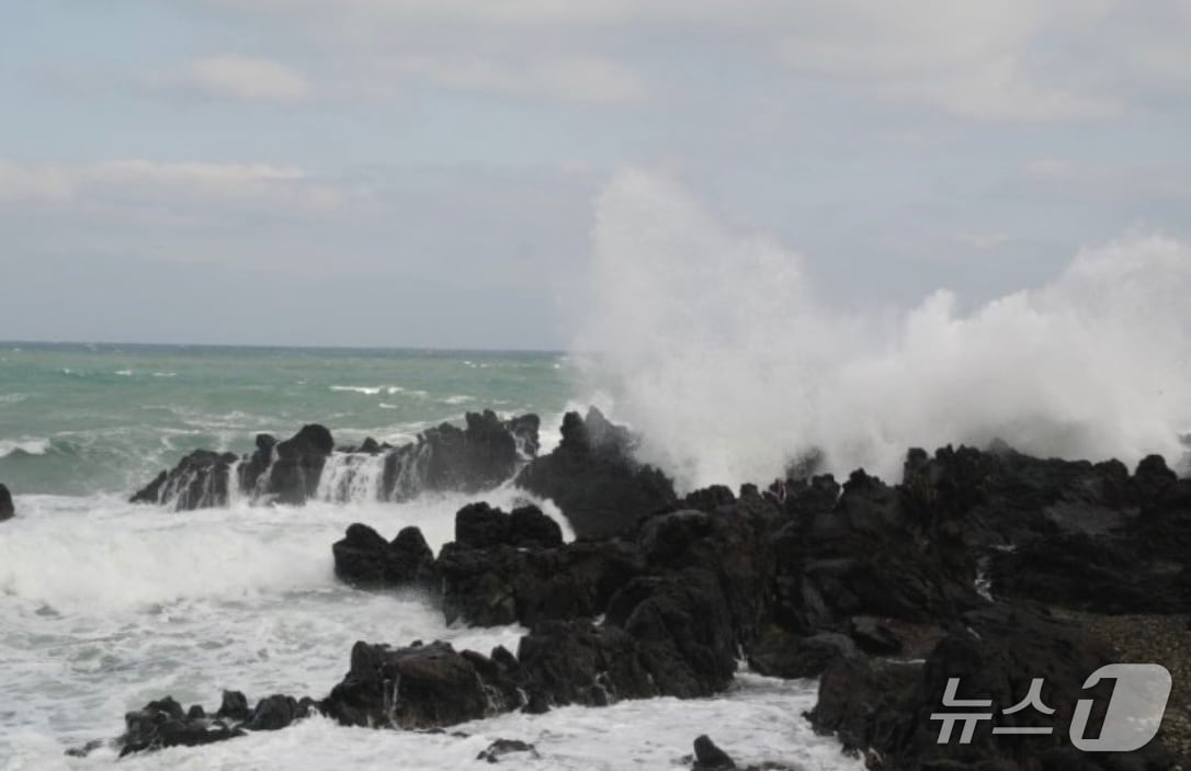너울성 파도 자료사진(울산해양경찰서 제공. 재판매 및 DB 금지)/뉴스1