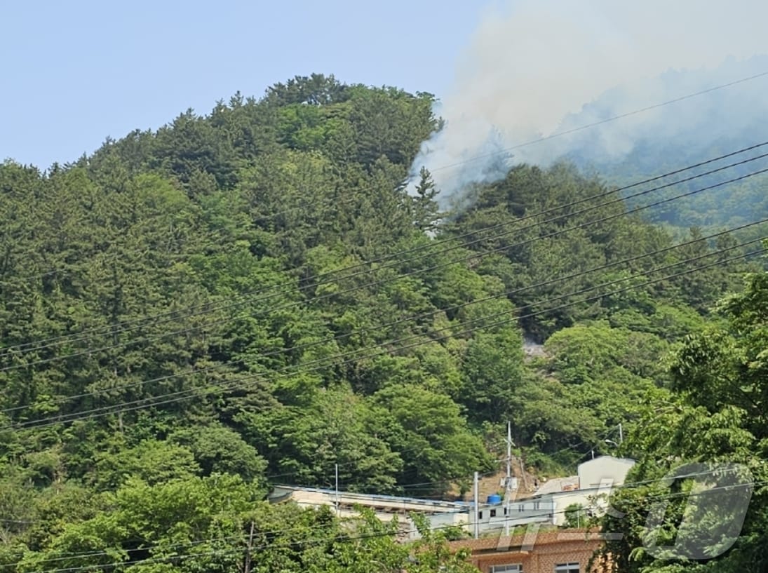 1일 오전 8시 52분쯤 경북 울릉군 서면 남양리 야산에서 산불이 발생했다.(산림청 제공. 재판매 및 DB금지) 2025.6.1/뉴스1 ⓒ News1 김종엽 기자