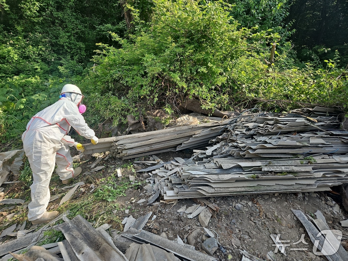전북 임실군은 오는 20일부터 공공용지에 방치된 폐슬레이트 43톤을 전문업체에 위탁해 수거‧처리한다.(임실군제공. 재판매 및 DB금지)2025.6.10/뉴스1