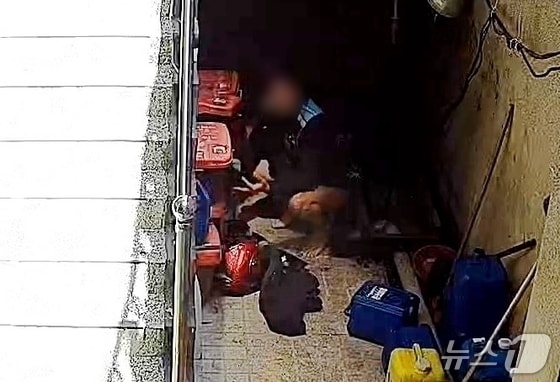 &#40;네이버 카페 &#39;배달세상&#39; 갈무리&#41;